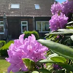 Hof Dueshop Apartment *