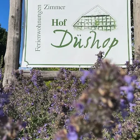 Hof Dueshop Apartment Bad Fallingbostel