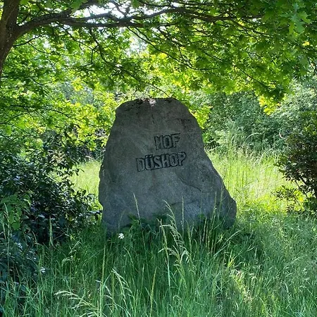 Daire Hof Düshop Bad Fallingbostel