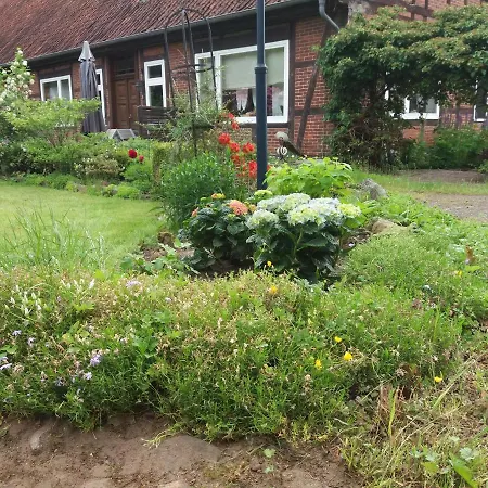 Hof Dueshop شقة *