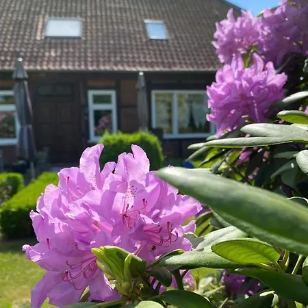 Hof Dueshop Appartement *