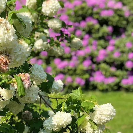 Hof Dueshop Apartamento Bad Fallingbostel