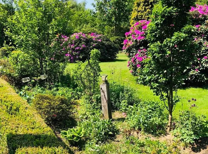 Hof Dueshop * バート・ファリングボステル