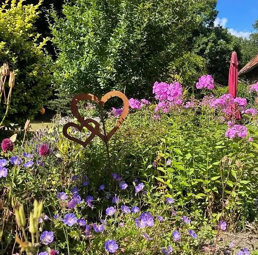 Hof Dueshop Апартаменты Бад-Фаллингбостель