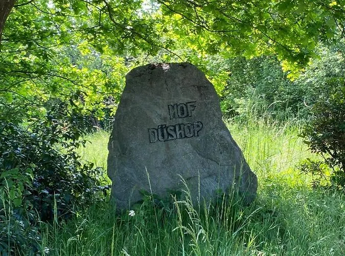 Апартаменты Hof Dueshop Бад-Фаллингбостель