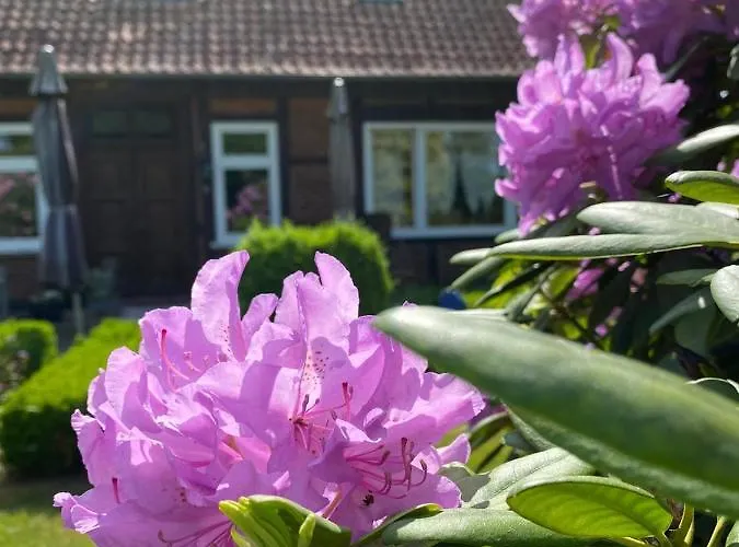 Hof Dueshop Апартаменты *