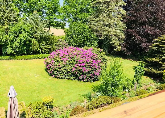 Hof Dueshop * Бад-Фаллингбостель