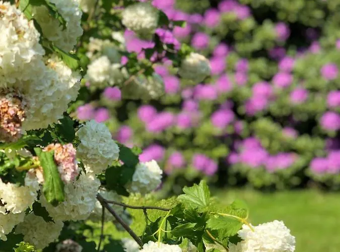 Hof Dueshop Апартаменты Бад-Фаллингбостель