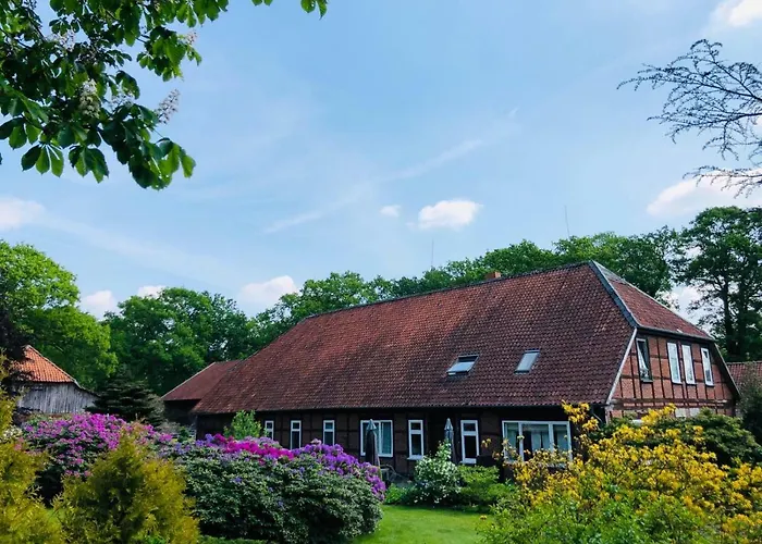 Апартаменты Hof Dueshop